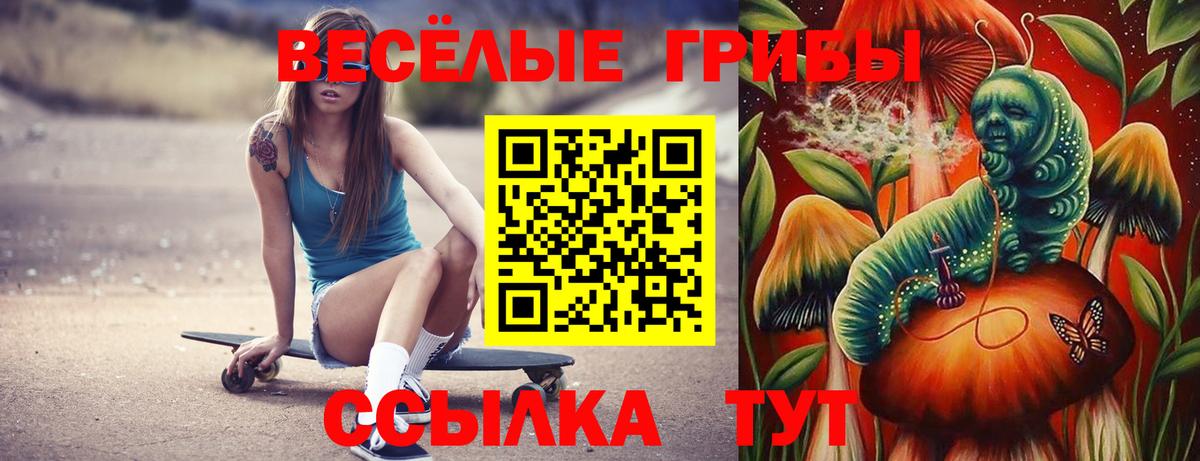 Дедовск  Псилоцибиновые грибы MAGIC MUSHROOMS  Вход с VPN  Галлюциногенные грибы GOLDEN TEACHER 
