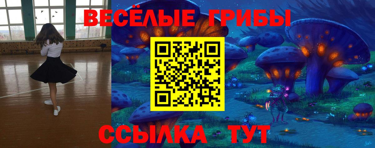 Псилоцибиновые грибы Psilocybine cubensis Дедовск