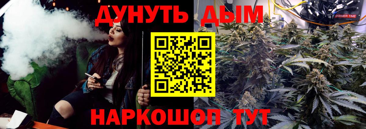 Дедовск  Конопля план  Вход с VPN  Конопля Ganja  МАРИХУАНА сатива 
