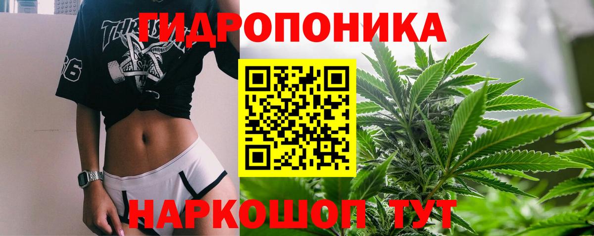 Бошки марихуана конопля Дедовск